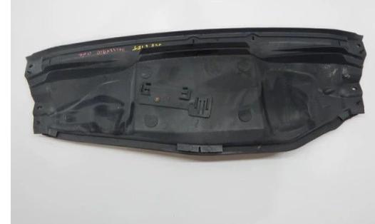 Torpédo, plast pod čelné okno RENAULT SCENIC LIFT