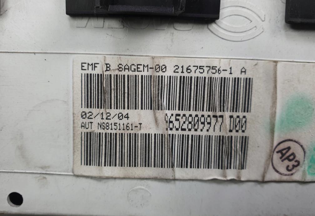 Dislpej Panel 9652809977 PEUGEOT 307 SW