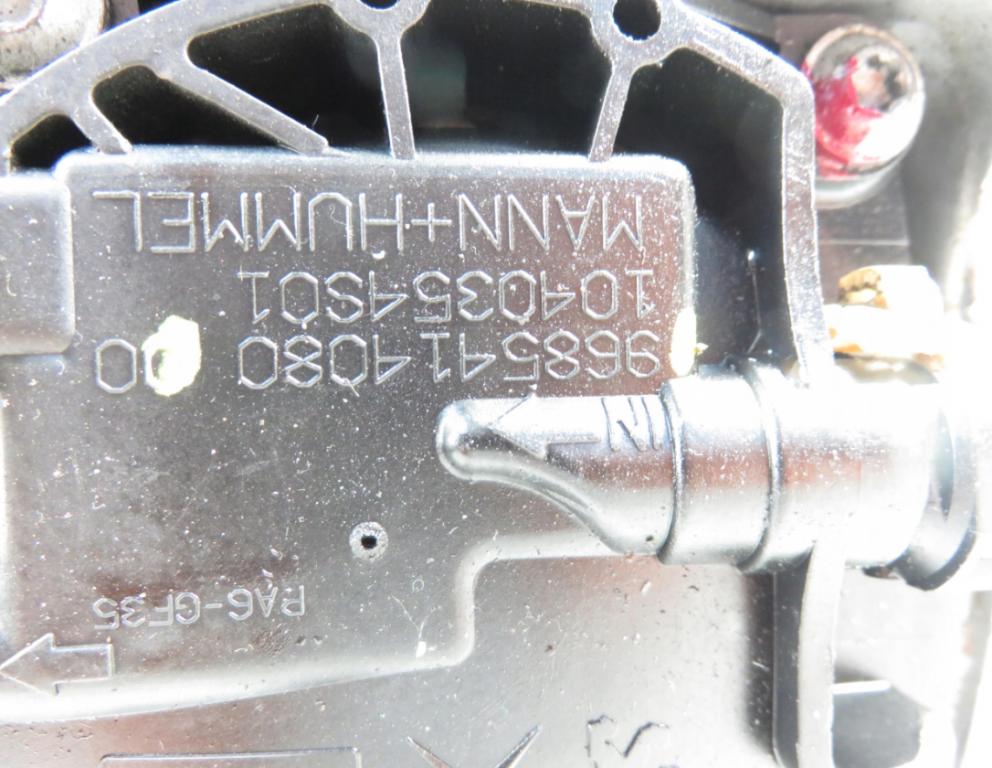 Obal filtra paliva DS5 2.0 HDi 9685414080