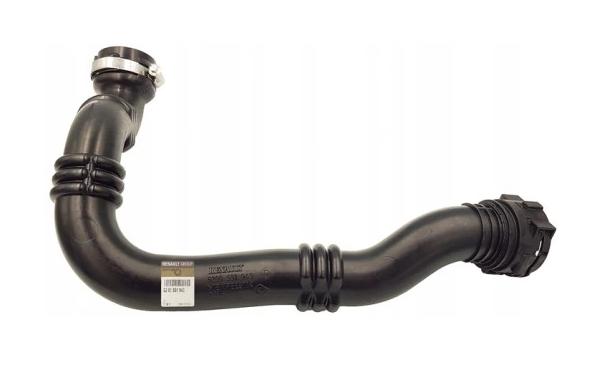 RENAULT Rúrka intercoolera LAGUNA III 2.0DCI 8200551943