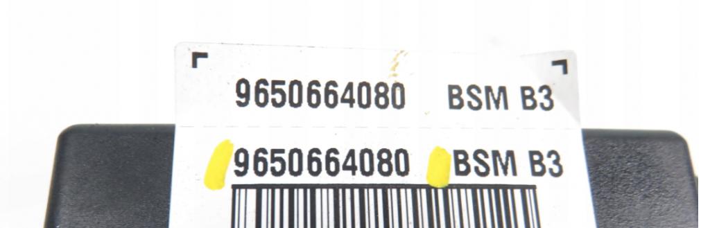 Modul BSM PEUGEOT 206 9650664080