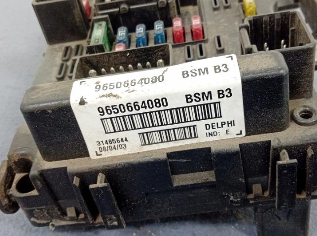 PEUGEOT 307 Modul Skrinka BSM B3 9650664080