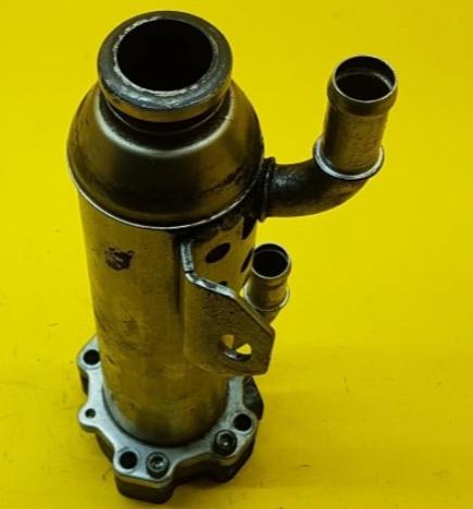 Chladič spalín EGR Chladič VOLVO S80 II 2.4D