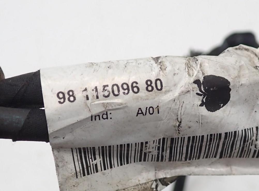 Peugeot 2008 I 2013-2019 hatchback 1.6 HDI diesel MT 68 kW 2014  Kábel batérie záporný (-) 9810829680 9811509680