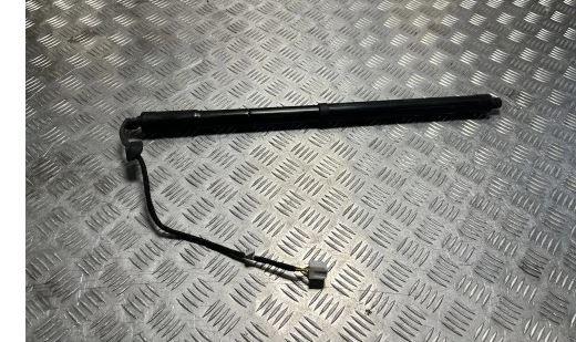 Renault Koleos I 2008-2016 suv 2.0 DCI diesel 110 kW 2008  Tlmič predný ľavý 904520316R