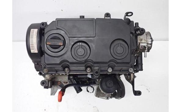 Volkswagen Golf V 2003-2009 hatchback 1.9 TDI diesel MT 66 kW 2004 Motor diesel BXJ