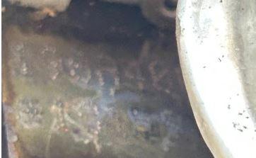 Fiat Doblo I 2001-2010 hatchback 1.4 8v petrol MT 57 kW 2008  Motor benzín 198A4000