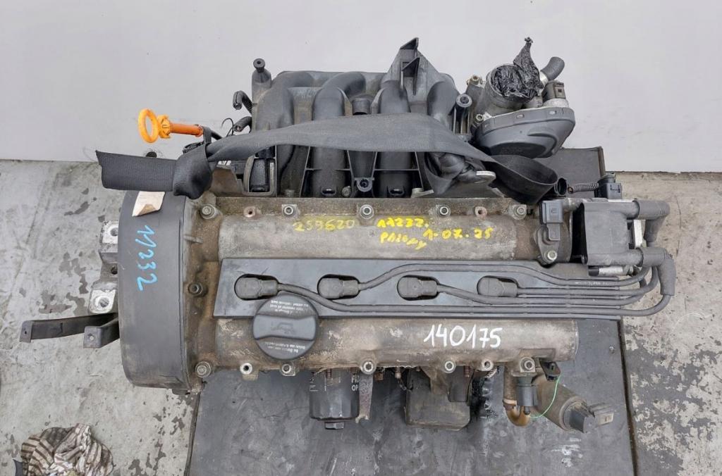 Volkswagen Golf IV 1997-2003 hatchback 1.4 16v petrol MT 55 kW 1999 Motor benzín AXP