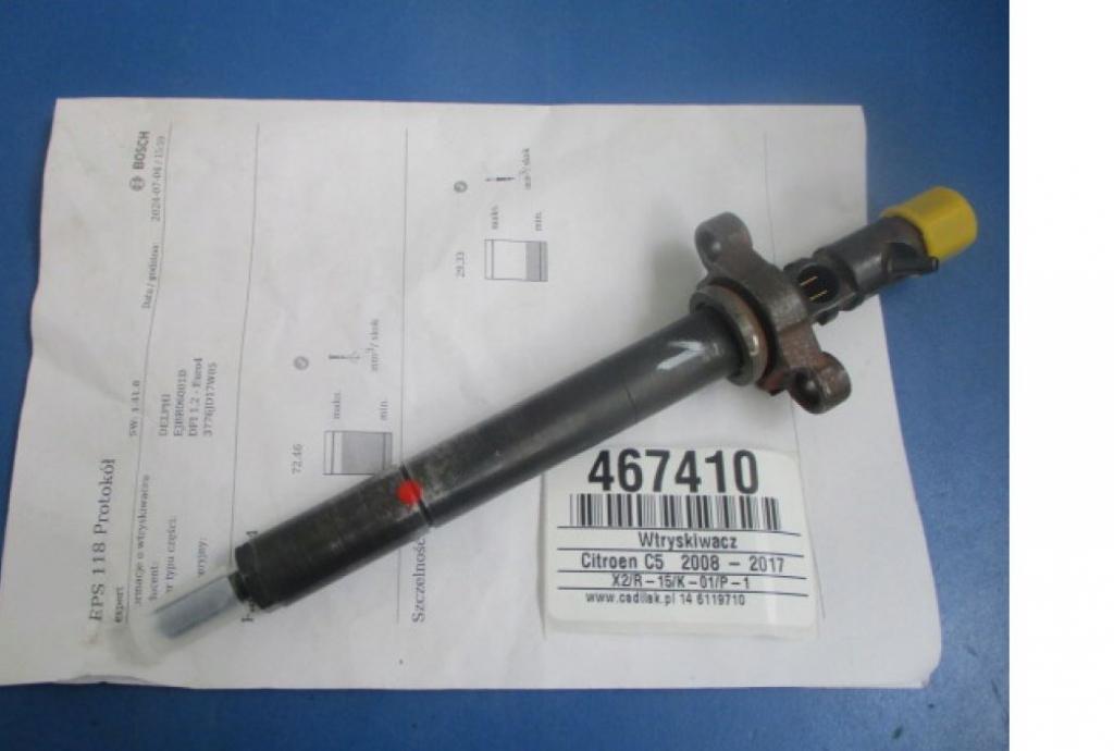 Citroen C5 II 2008-2017 sedan 2.0 HDI diesel MT 103 kW 2009  Vstrekovač paliva EJBR06001D