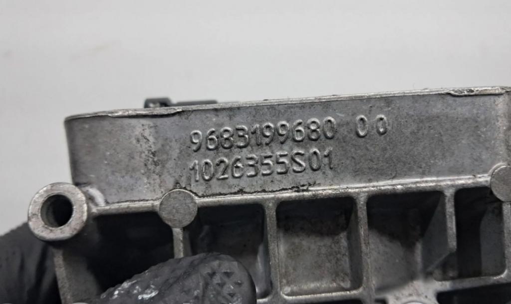 Citroen C5 II 2008-2017 sedan 2.0 HDI diesel MT 120 kW 2012  Obal palivového filtra 9683414080