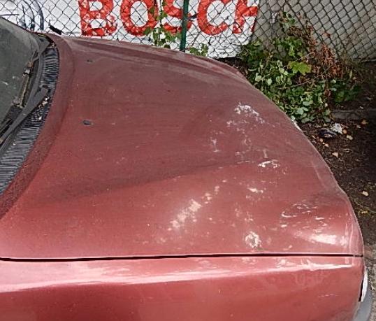 Toyota Corolla E11 1997-2002 sedan 1.4 D4D diesel MT 55 kW 2001 Kapota