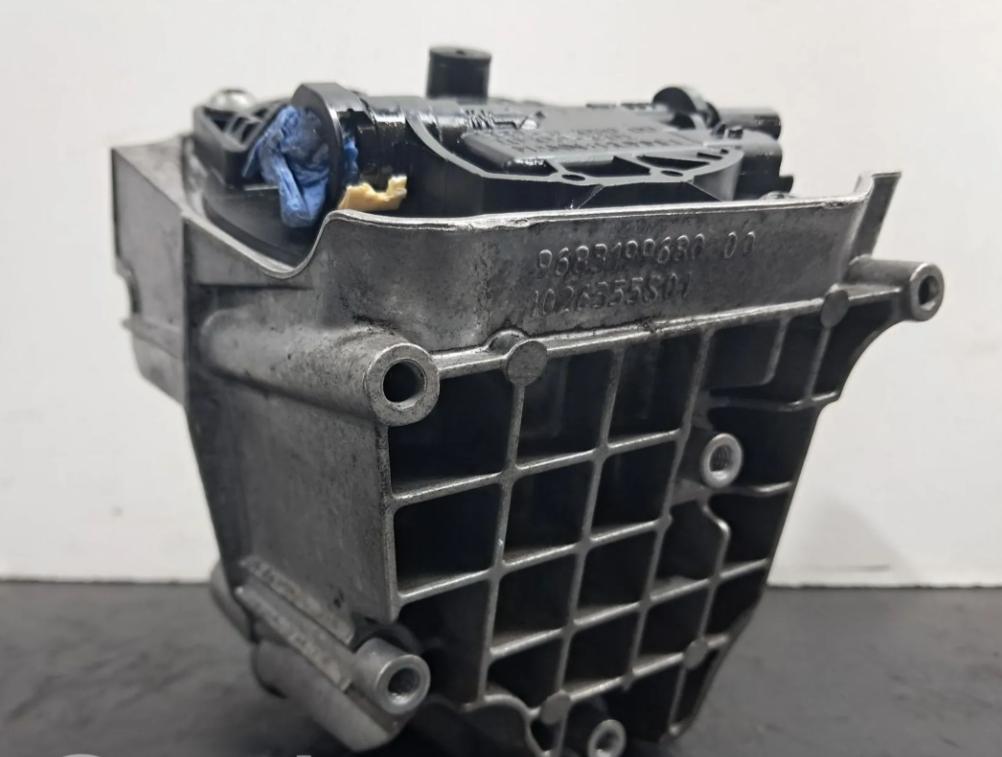 Citroen C5 II 2008-2017 sedan 2.0 HDI diesel MT 120 kW 2012  Obal palivového filtra 9683414080