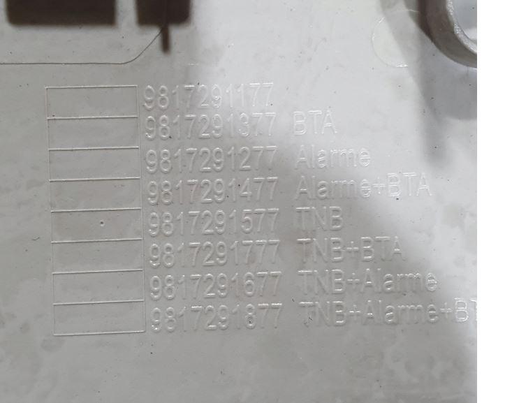 Citroen Berlingo 2019 Osvetlenie interiéru 9817291177