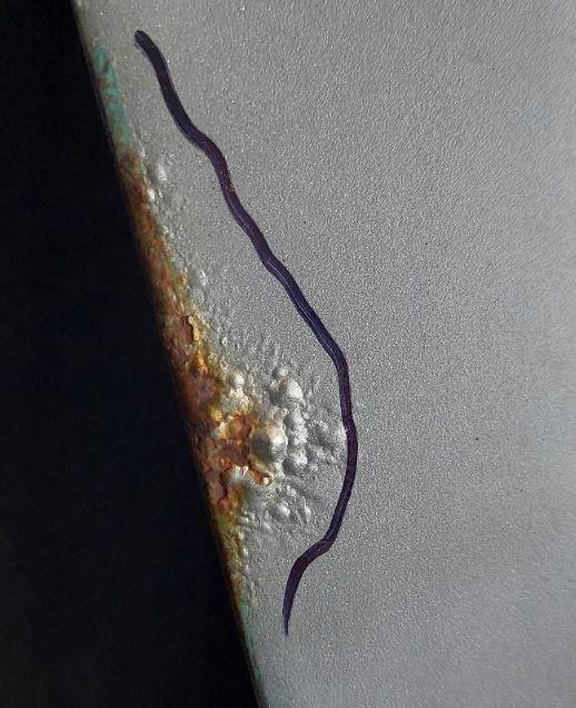 Mazda 6 I GY 2002-2007 combi 2.0 16v petrol MT 108 kW 2006  Kapota zadná (kufor)