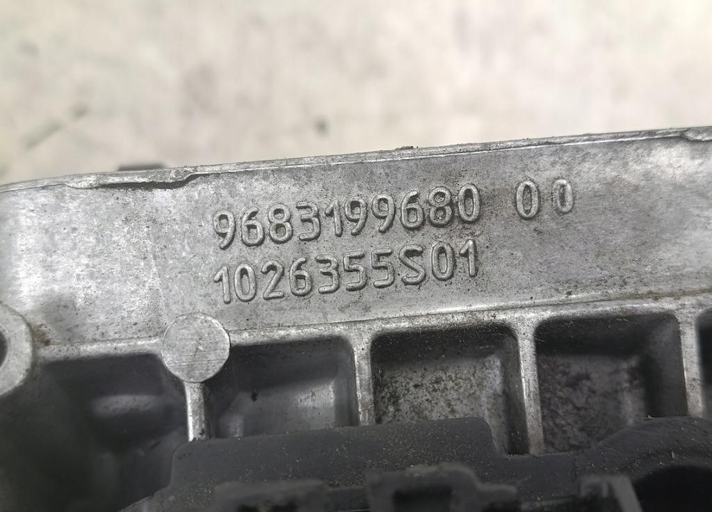 Peugeot Citroen Fiat Obal palivového filtra 9685414080 9683199680 1040354S01