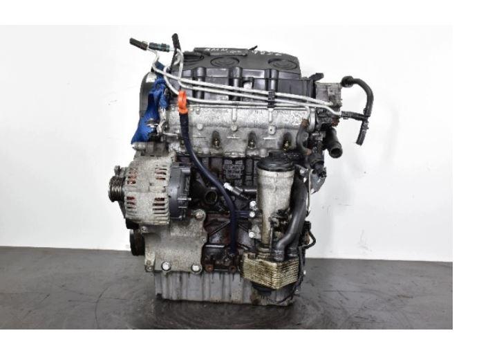 Volkswagen Golf V 2003-2009 hatchback 2.0 TDI diesel MT 103 kW 2006 Motor diesel