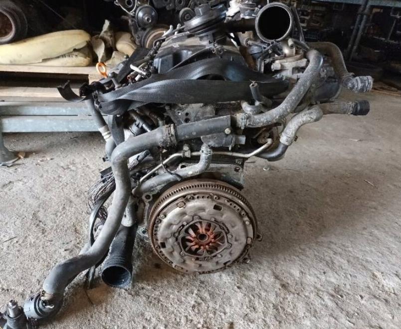Volkswagen Golf V 2003-2009 hatchback 1.9 TDI diesel MT 66 kW 2004 Motor diesel BRU