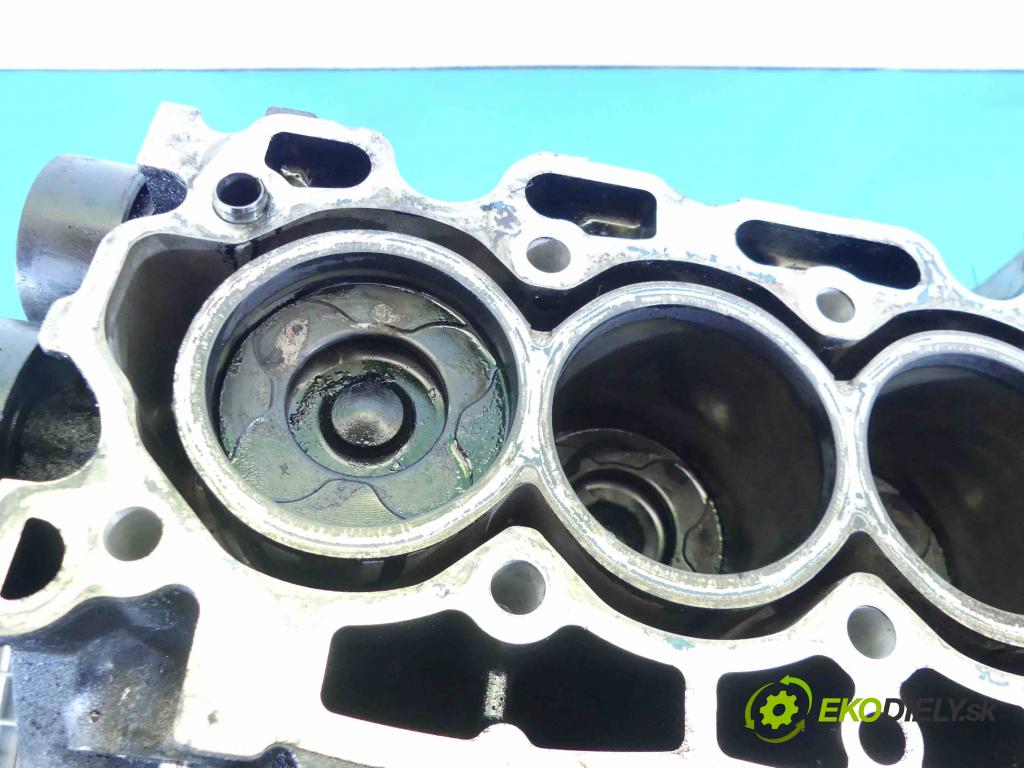 Citroen C5 II 2008-2017 1.6 HDI 109 HP manual 80 kW 1560 cm3 4- Blok motora 9H01 (Blok motora)