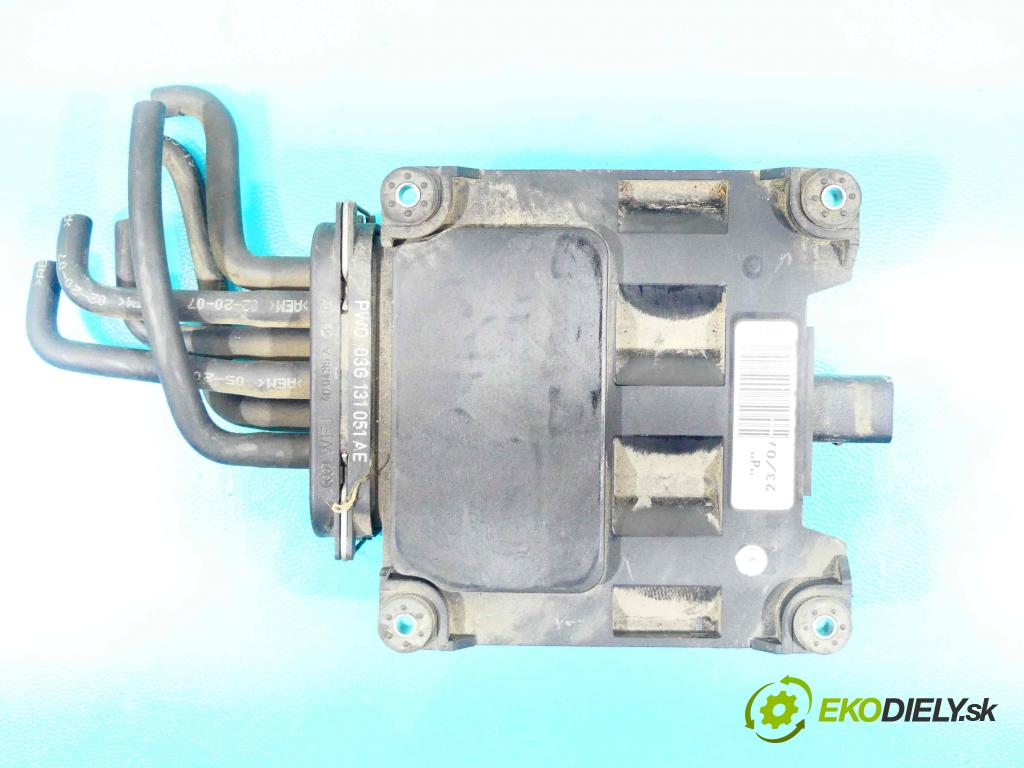 Vw Jetta V 2005-2010 1.9 tdi 105 HP manual 77 kW 1896 cm3 4- ventil 6Q0906625 (Ventily)