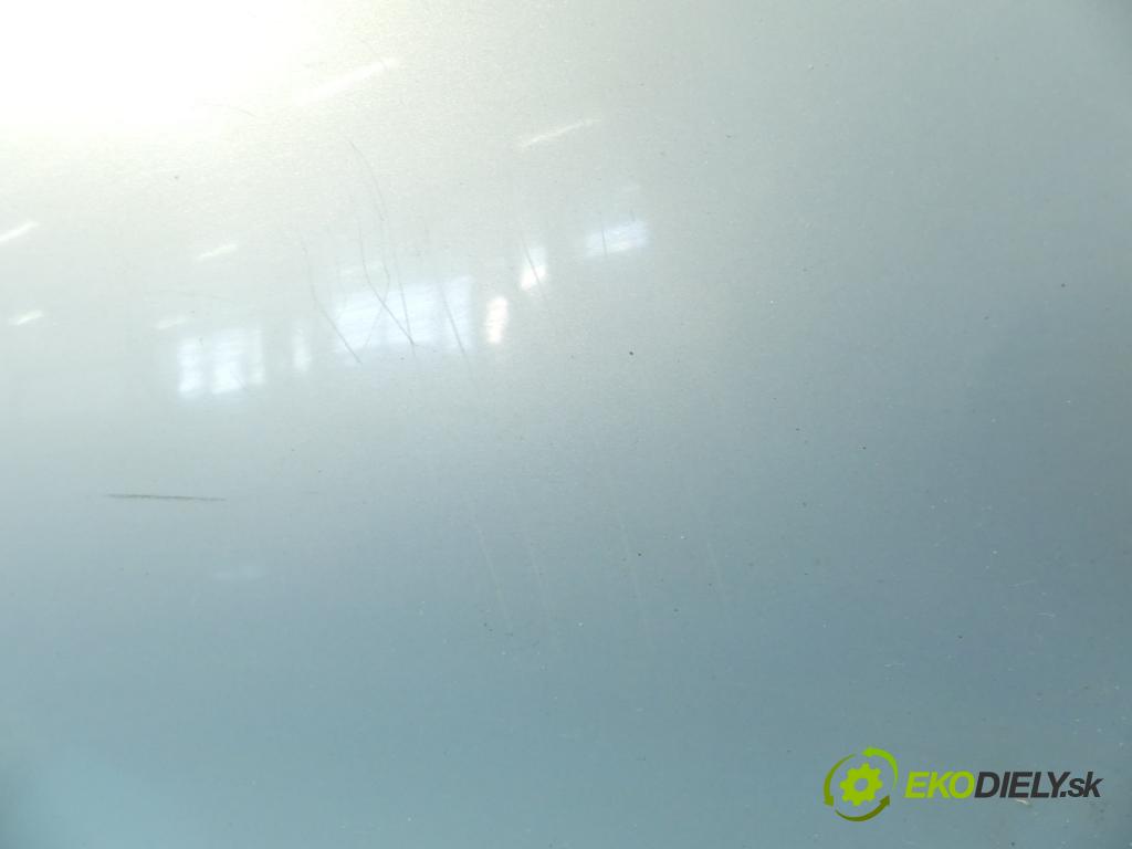 Renault Scenic I 1996-2003 1.9 dti 98 HP manual 72 kW 1870 cm3 5- dvere predné ľavé  (Ostatné)