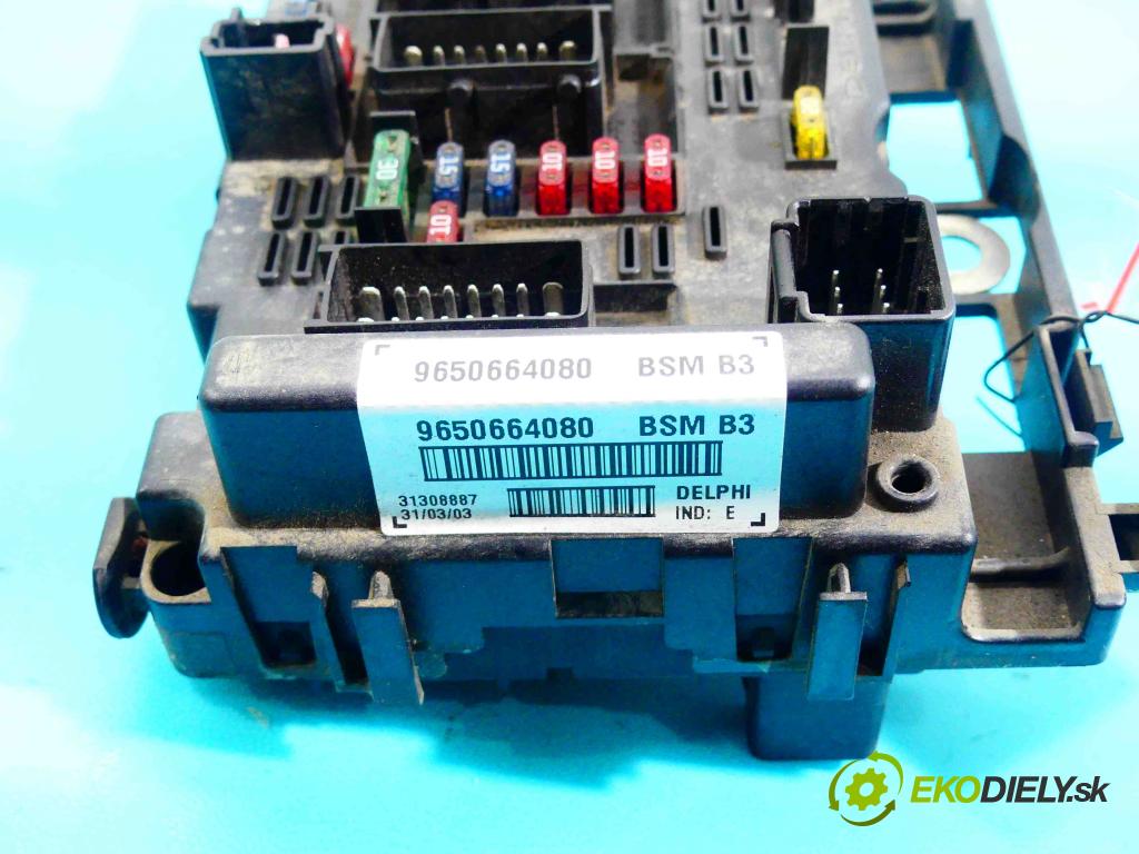 Peugeot 307 2.0 hdi 90 HP manual 66 kW 1997 cm3 5- modul riadiaca jednotka 9650664080 (Ostatné)