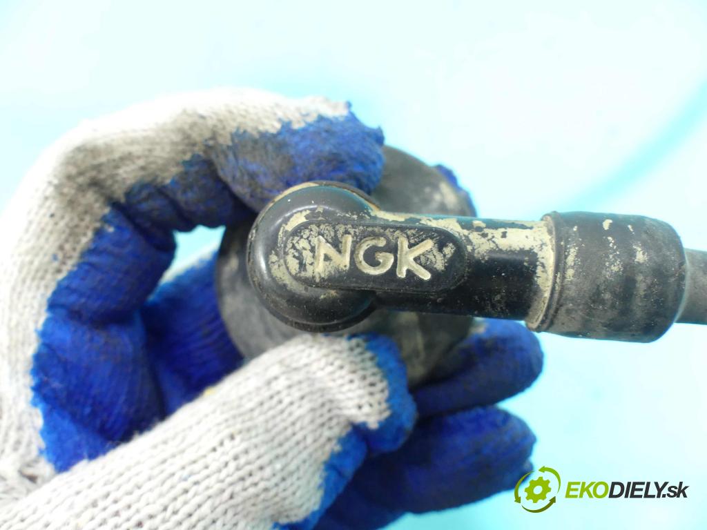 Peugeot Speedfight 1996-2000 0.0b: manual 3,1 kW 49,13 cm3 2- cievka zapaľovacia  (Zapaľovacie cievky, moduly)