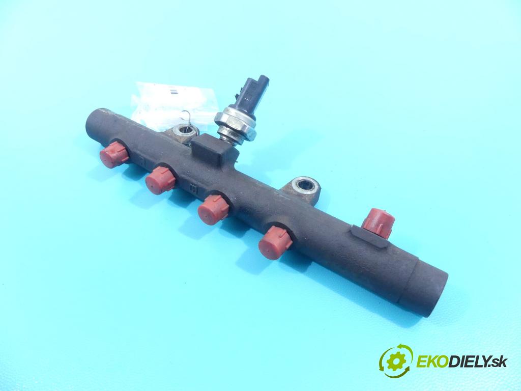 Renault Scenic II 2003-2009 1.5 dci 106 HP manual 78 kW 1461 cm3 5- lišta vstrekovacia  (Vstrekovacie lišty)