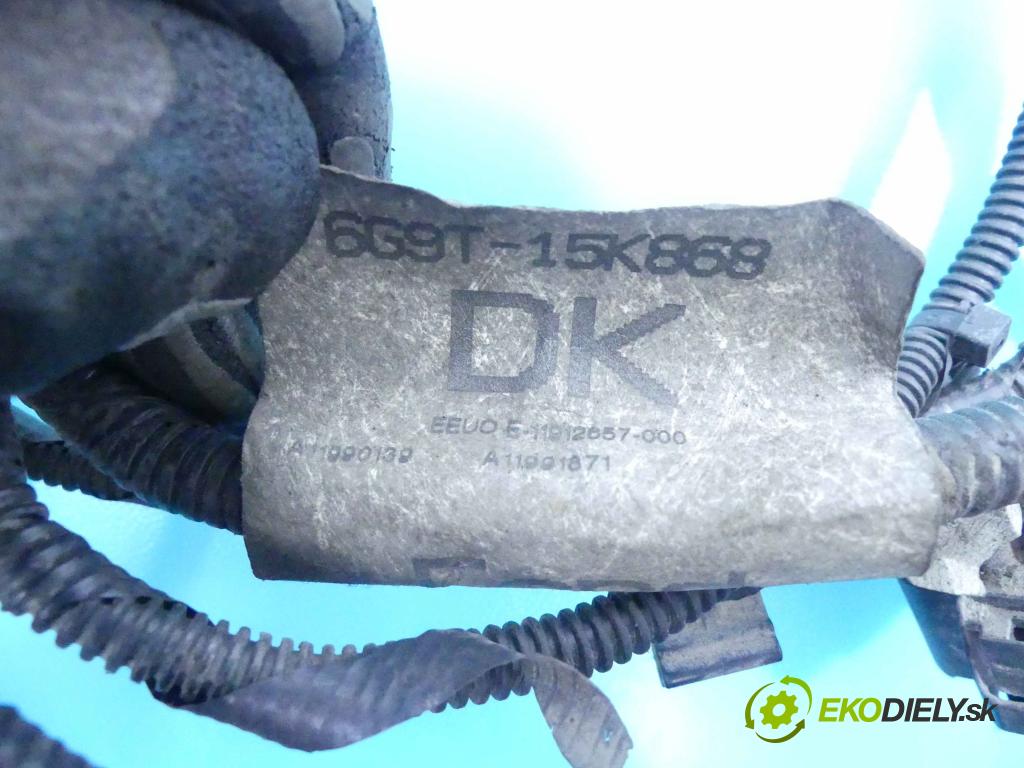 Ford S-max 2.0 tdci 140 HP manual 103 kW 1997 cm3 5- inštalácia 6G9T-15K868-DK