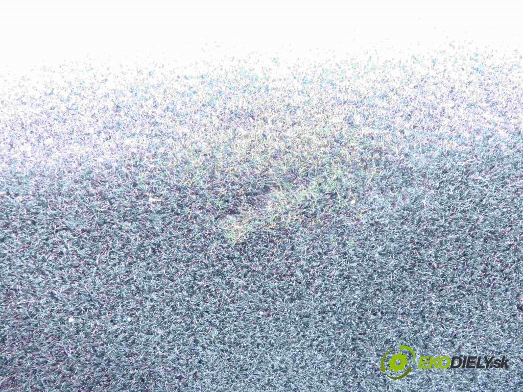 Tesla Model S 0.0b: automatic 310 kW 1 cm3 5- koberec do auta 1045204-00-A