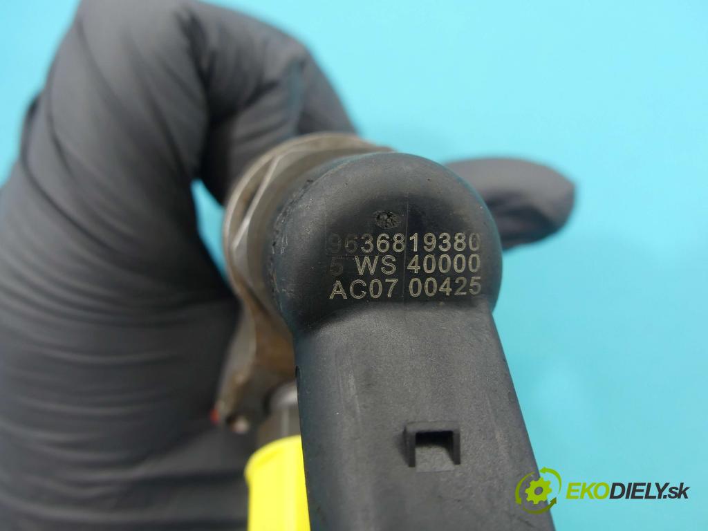 Peugeot 307 2.0 hdi 90 HP manual 66 kW 1997 cm3 5- vstrek 9636819380 (Vstrekovače)