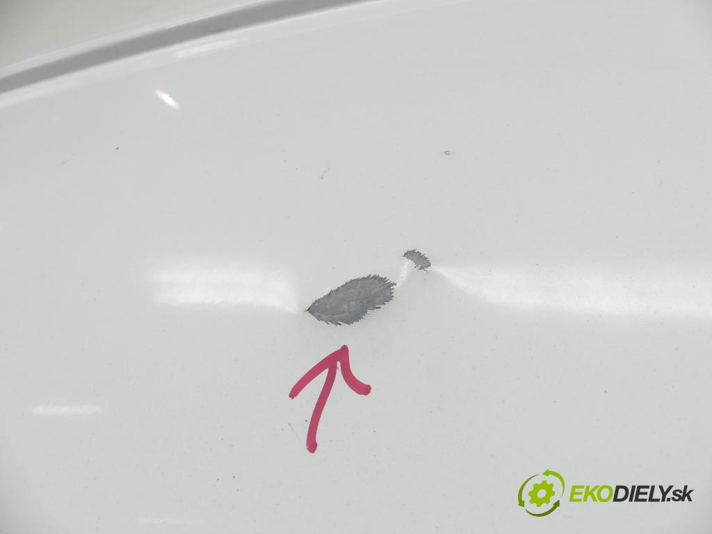 Vw Transporter T5 2003-2015 2.0 TDI 102 hp manual 75 kW 1968 cm3 5- dveře zadní pravé