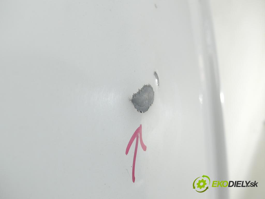 Vw Transporter T5 2003-2015 2.0 TDI 102 hp manual 75 kW 1968 cm3 5- dveře zadní pravé