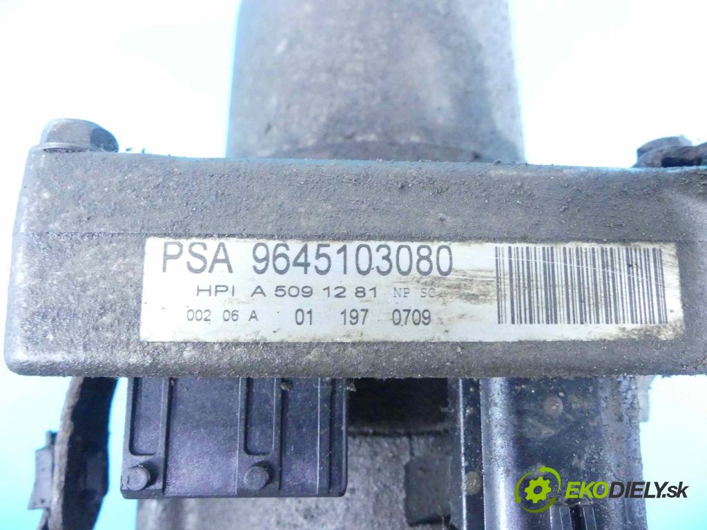 Peugeot 307 1.4b: 75 HP manual 55 kW 1360 cm3 5- čerpadlo posilovač 9645103080 (Servočerpadlá, pumpy riadenia)
