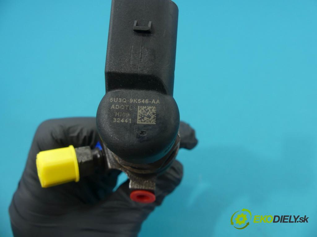 Citroen C6 2005-2012 2.7 hdi 204 HP automatic 150 kW 2720 cm3 4- vstrek 5U3Q-9K546-AA (Vstrekovače)