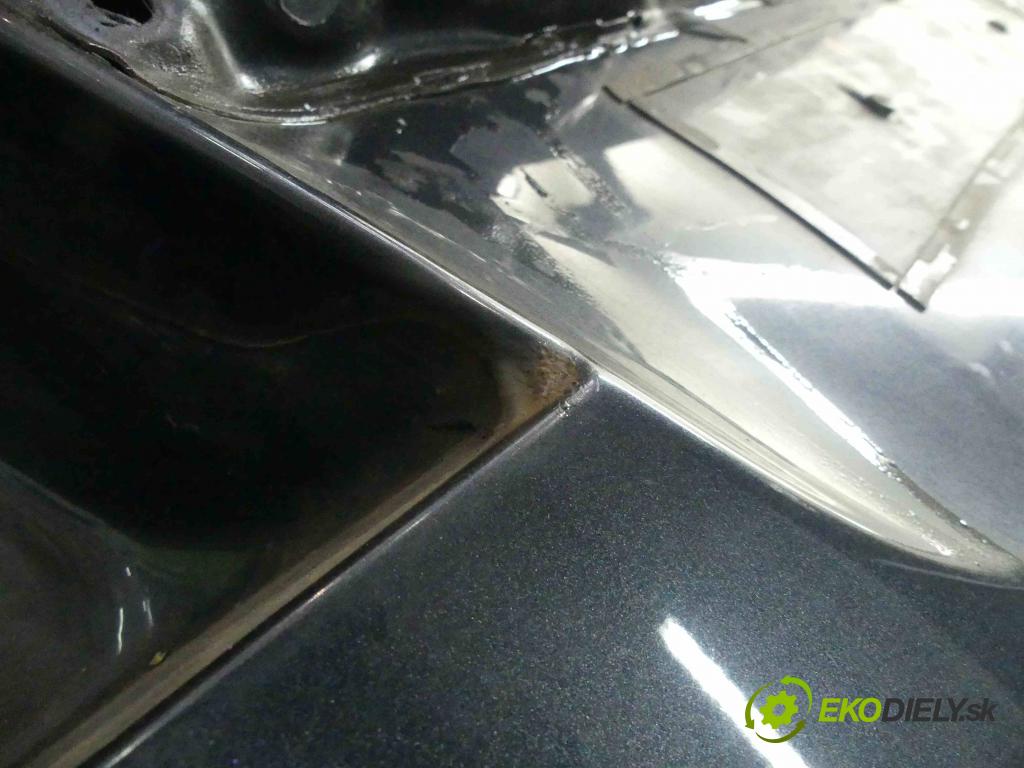 Renault Latitude 2.0 dci 173KM automatic 127 kW 1995 cm3 4- zadní kufrové dveře  (Zadní kapoty)