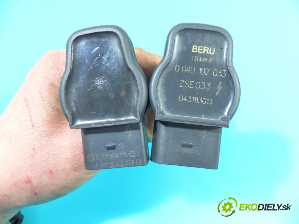 Skoda Yeti 2009-2012 1.8 TSI 160 HP manual 118 kW 1798 cm3 5- cievka zapaľovacia 0221604115 (Zapaľovacie cievky, moduly)