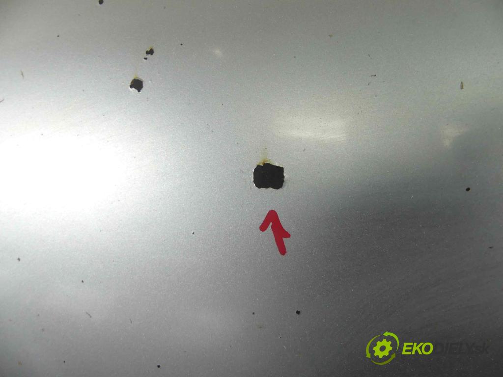 Vw New Beetle 1998-2010 2.0 116 HP manual 85 kW 1984 cm3 3- kapota predná