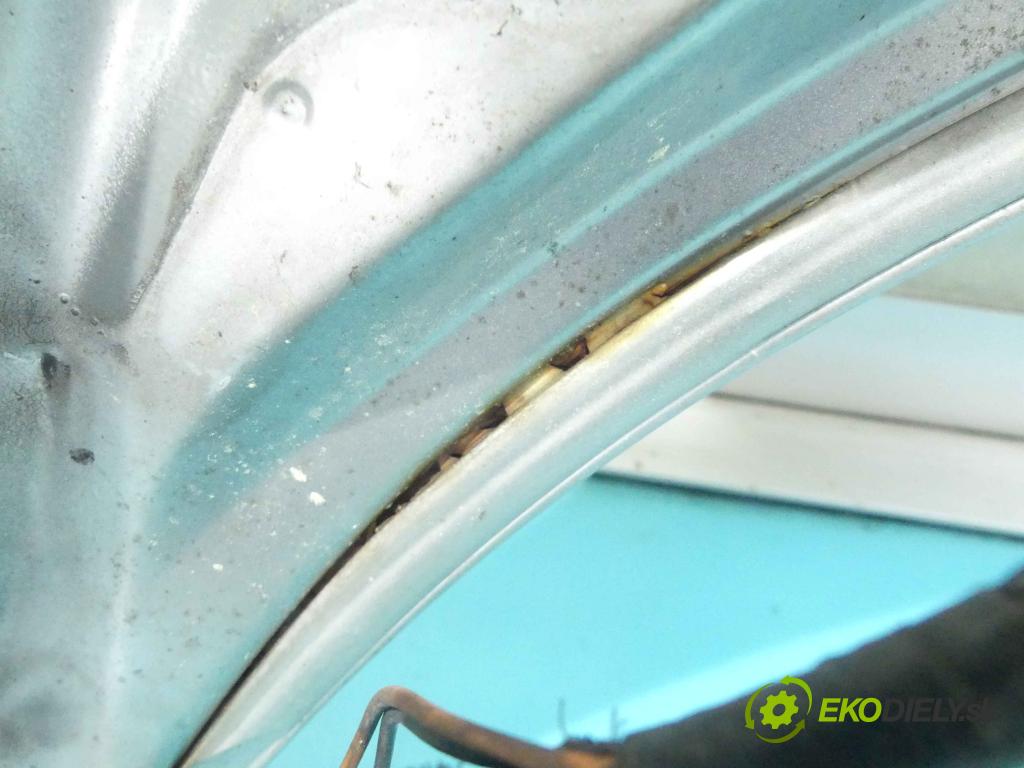 Vw New Beetle 1998-2010 2.0 116 HP manual 85 kW 1984 cm3 3- kapota predná