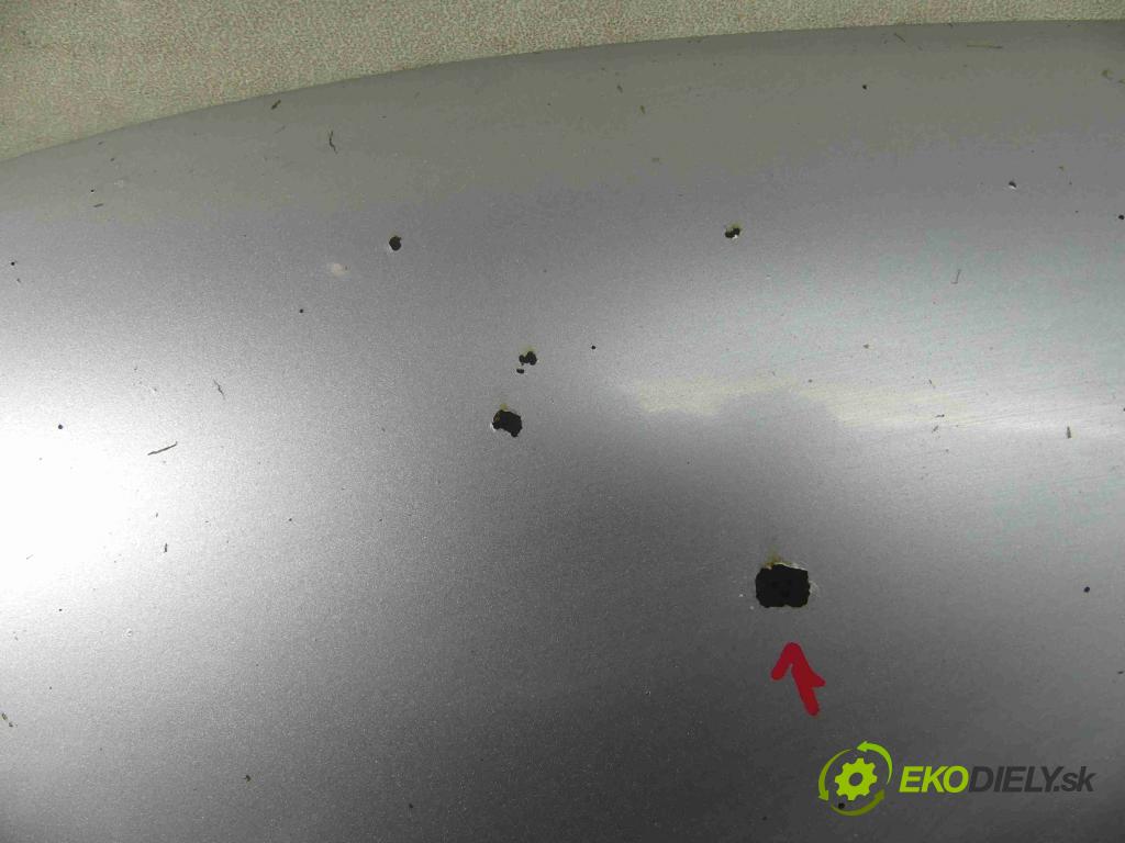 Vw New Beetle 1998-2010 2.0 116 HP manual 85 kW 1984 cm3 3- kapota predná