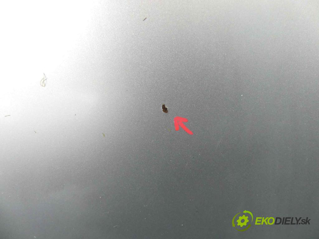 Vw New Beetle 1998-2010 2.0 116 HP manual 85 kW 1984 cm3 3- kapota predná