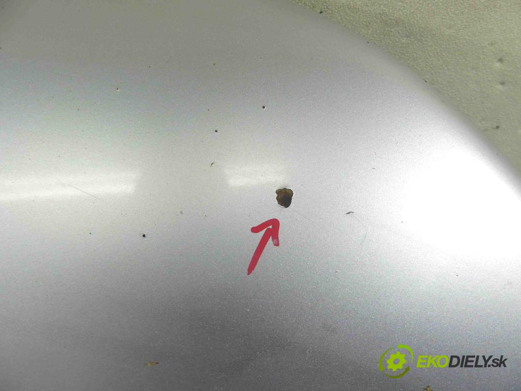 Vw New Beetle 1998-2010 2.0 116 HP manual 85 kW 1984 cm3 3- kapota predná