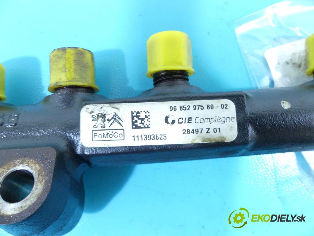 Peugeot Partner II 2008-2018 1.6 hdi 92 HP manual 68 kW 1560 cm3 5- lišta vstrekovacia 9685297580 (Vstrekovacie lišty)