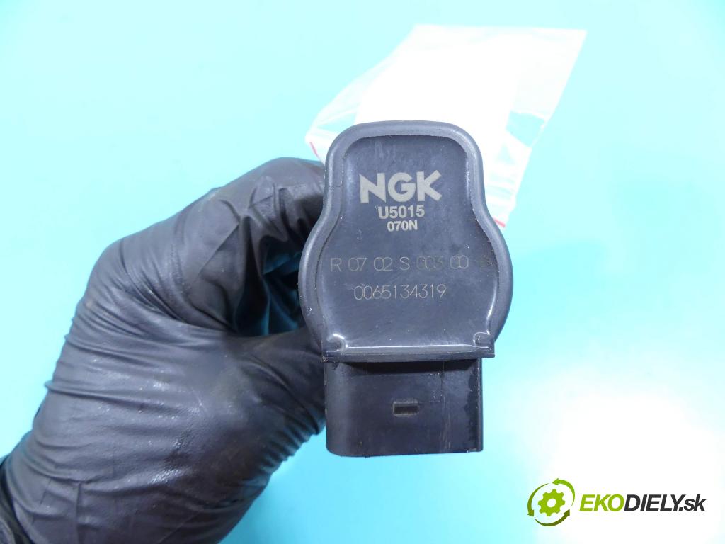 Audi A3 8P 2003-2012 1.8 TFSI 160 HP manual 118 kW 1798 cm3 5- cievka zapaľovacia 0065134319 (Zapaľovacie cievky, moduly)