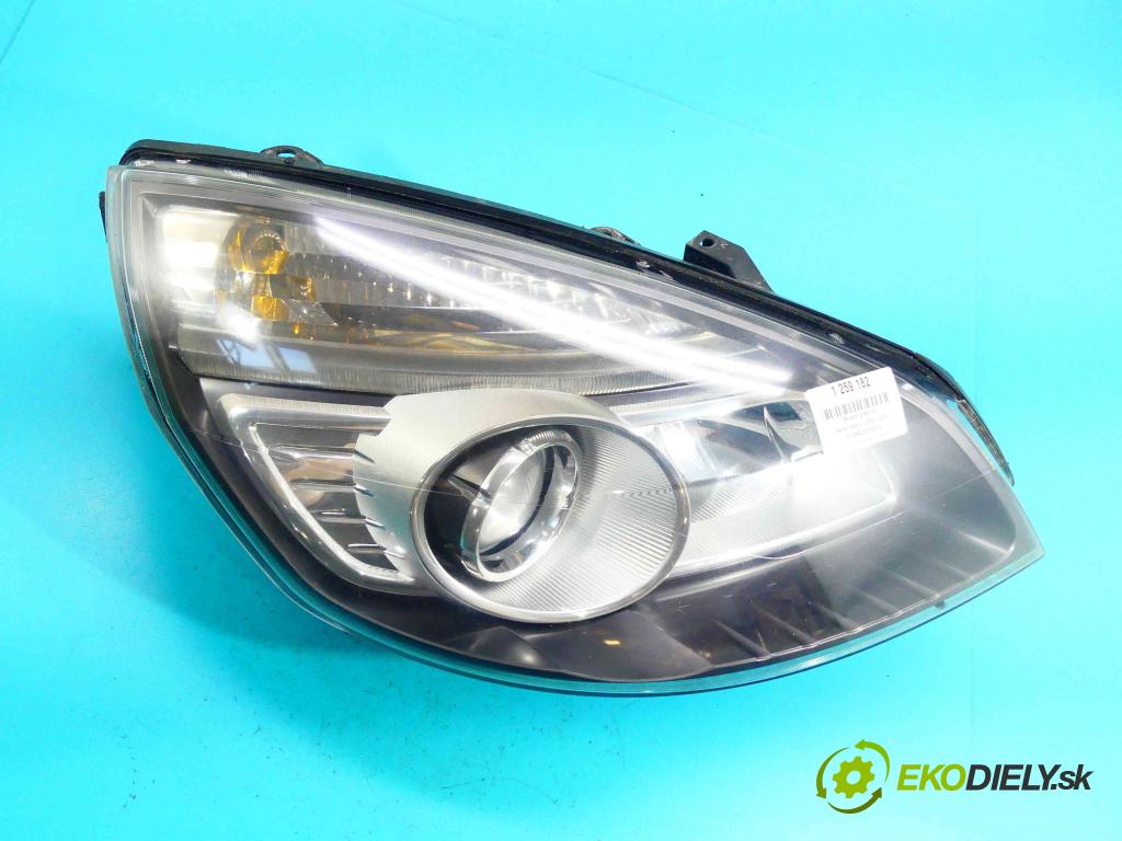 Renault Scenic II 2003-2009 1.9 dci 131 HP manual 96 kW 1870 cm3 5- Reflektor: pravý  (Pravé)