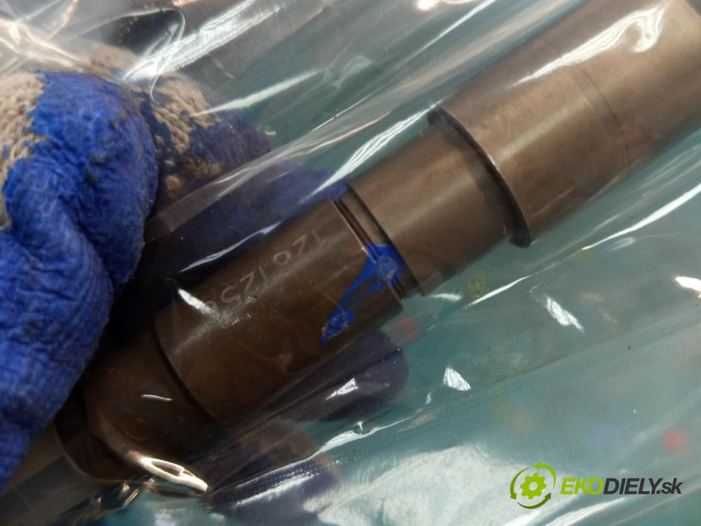 Bmw 5 E60 2003-2010 3.0 D Xdrive: 231 HP automatic 170 kW 2993 cm3 5- vstrek 0445115008 (Vstrekovač paliva)