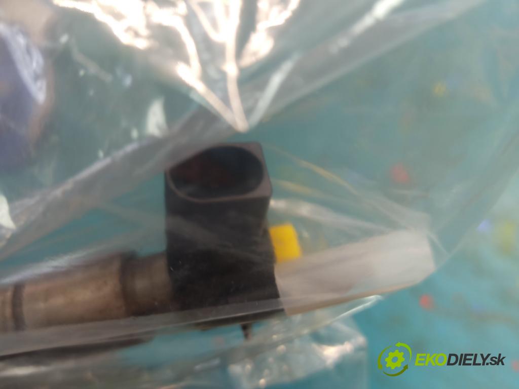 Bmw 5 E60 2003-2010 3.0 D Xdrive: 231 HP automatic 170 kW 2993 cm3 5- vstrek 0445115008 (Vstrekovač paliva)