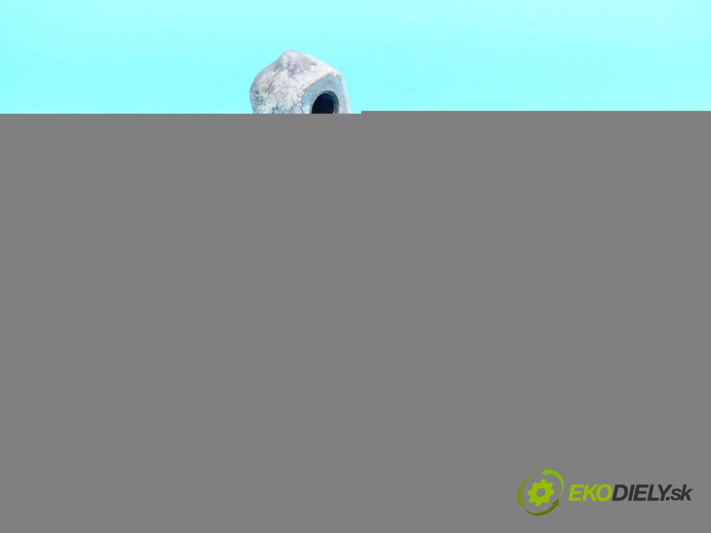 Bmw 5 F10 2010-2017 2.0d 190 hp automatic 140 kW 1995 cm3 4- Polštář: motoru 6868304 (Držáky motoru)