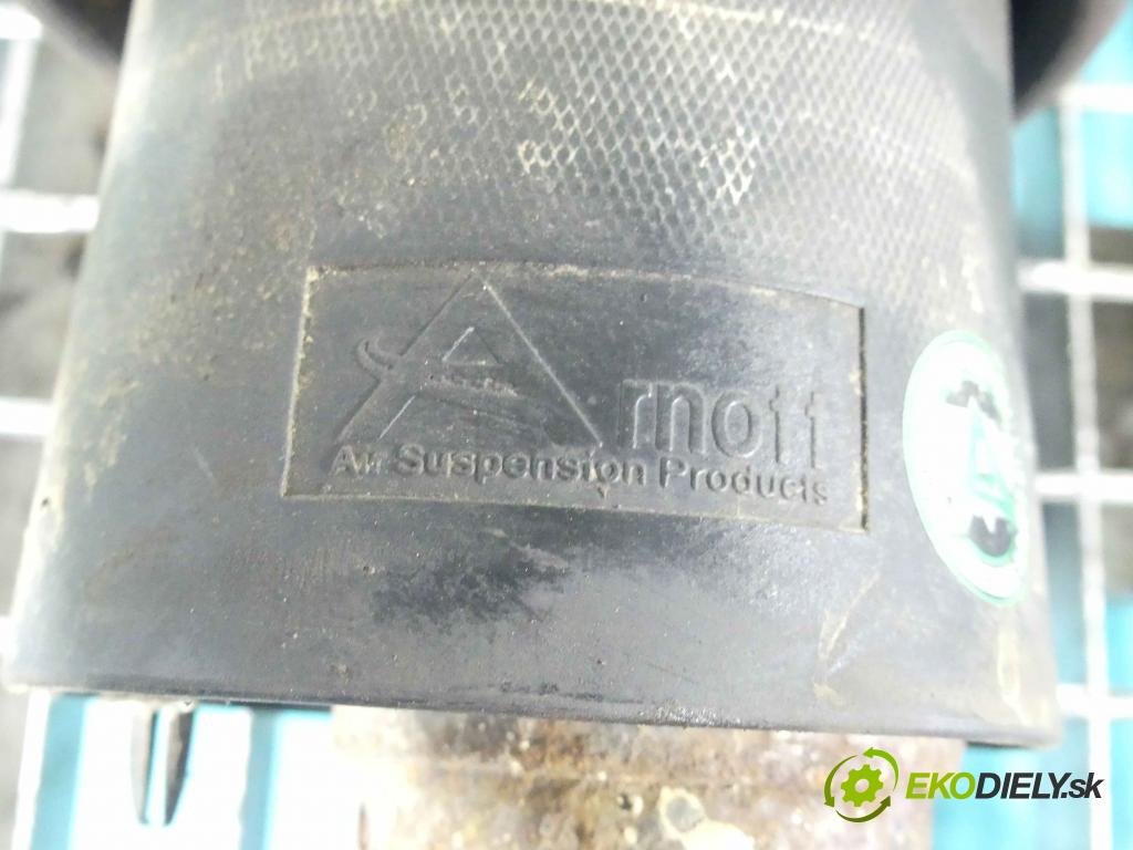 Land rover Range Rover III L322 2001-2012 3.6 TD V8 272 HP automatic 200 kW 3628 cm3 5- tlmič predné ľavý A-2934 (Ostatné)