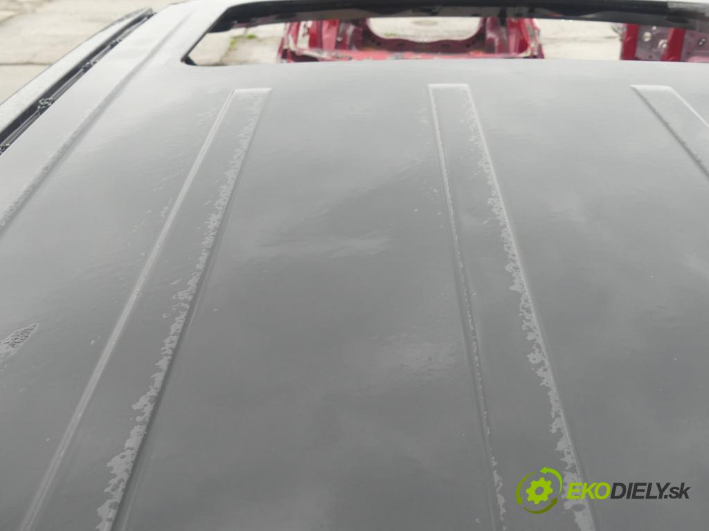 Land rover Range Rover III L322 2001-2012 3.6 TD V8 272 hp automatic 200 kW 3628 cm3 5- Strecha: