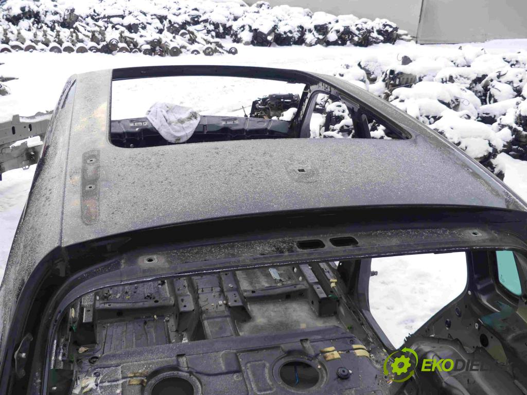 Vw Tiguan I 2007-2016 2.0 tdi 140 hp manual 103 kW 1968 cm3 5- Strecha: